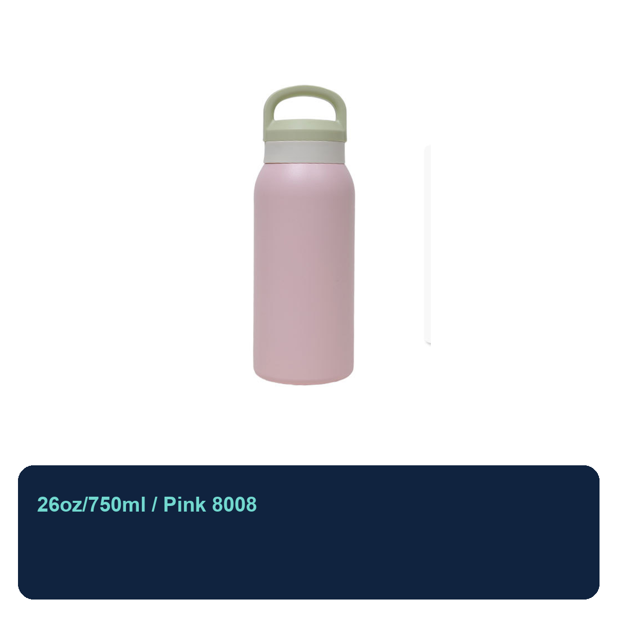 750ml Stainless Steel Insulated Carry Bottle
