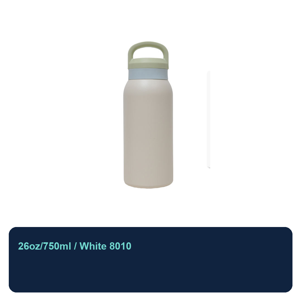750ml Stainless Steel Insulated Carry Bottle
