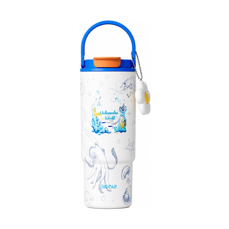 Custom 880ml 316 Stainless Steel Ceramic-Lined Art Tumbler